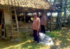 Jelang-Idul-Adha,-Bhabinkamtibmas-Prambon-Cek-Kesehatan-Hewan-Kurban-Sapi