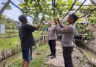 Polsek-Buduran-Gencarkan-Patroli-Sambang-Desa-Dukung-Program-Ketahanan-Pangan-Polresta-Sidoarjo