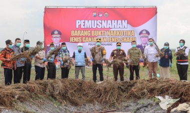 Pj.-Bupati-Lumajang-Apresiasi-Polisi-yang-Berhasil-Berhasil-Ungkap-Lahan-Ganja-Terbesar-di-Pulau-Jawa