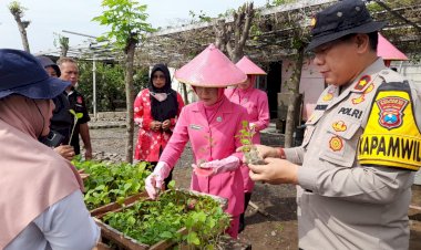 Polsek-Taman-bersama-Warga-Tanam-Bibit-Cabai-dan-Terong-di-Lahan-Produktif-Desa-Sambibulu