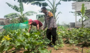 Polsek-Tanggulangin-Tinjau-Pekarangan-Pangan-Bergizi-di-Desa-Sentul