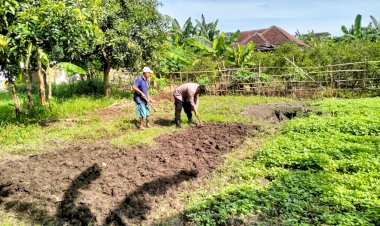 Bhabinkamtibmas-Desa-Jiken-Cek-Perkembangan-Program-Ketahanan-Pangan-Tanaman-Sayuran