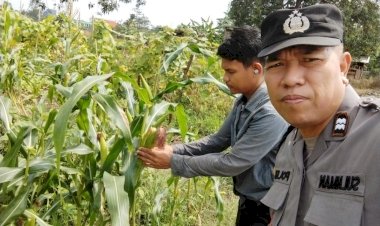 Kapolsek-Sedati-Masifkan-Patroli-Desa,-Dukung-Ketahanan-Pangan-Warga
