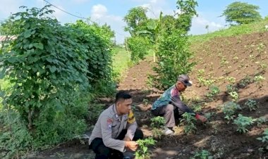 Bhabinkamtibmas-Desa-Jemirahan-Polsek-Jabon-Tinjau-Lahan-P2B,-Dukung-Ketahanan-Pangan-dan-Swasembada-Mandiri