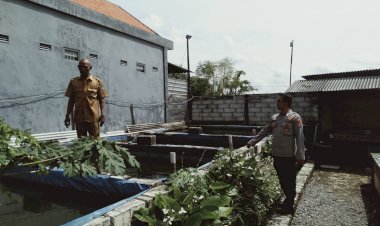 Polresta-Sidoarjo-|-Sebanyak-20-Petak-Kolam-Ikan-Lele-Warga-Desa-Durungbedug-Candi,-Siap-Topang-Ketahanan-Pangan