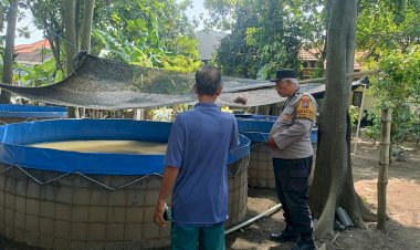 Polsek-Wonoayu-Tinjau-Progres-Lahan-Ketahanan-Pangan-Bergizi-di-Desa-Simoketawang