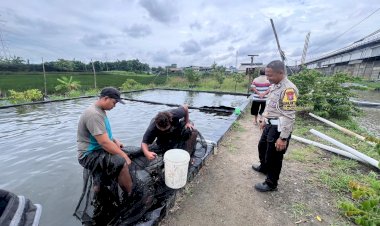 Polsek-Wonoayu-Apresiasi-Budidaya-Ikan-Mujair-Dukung-Ketahanan-Pangan