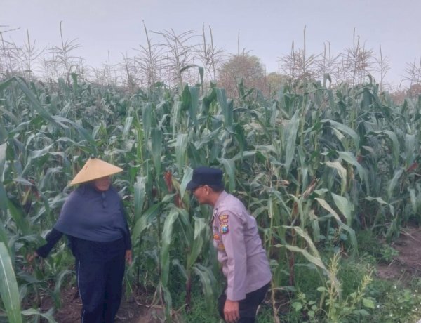 Dampingi Petani, Polsek Sidoarjo Kota Dukung Swasembada Pangan