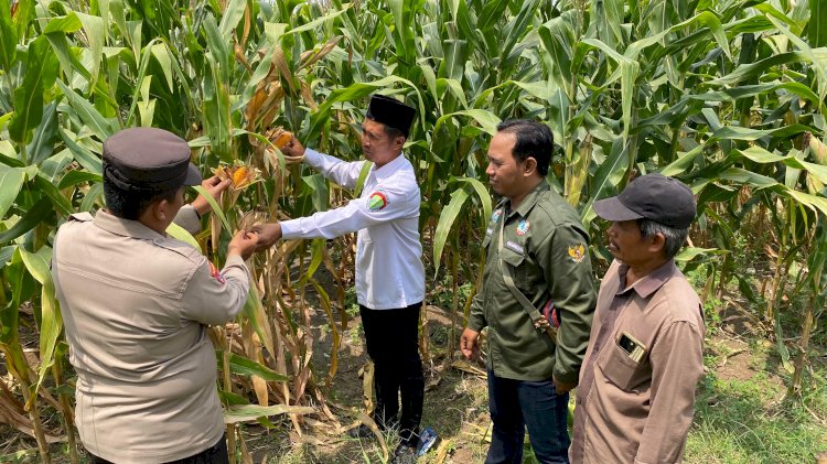 Bhabinkamtibmas Balongbendo Dampingi Petani Sukseskan Ketahanan Pangan